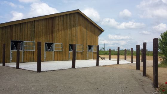 Dalles ecoraster P40 pour un paddock de chevaux de trait