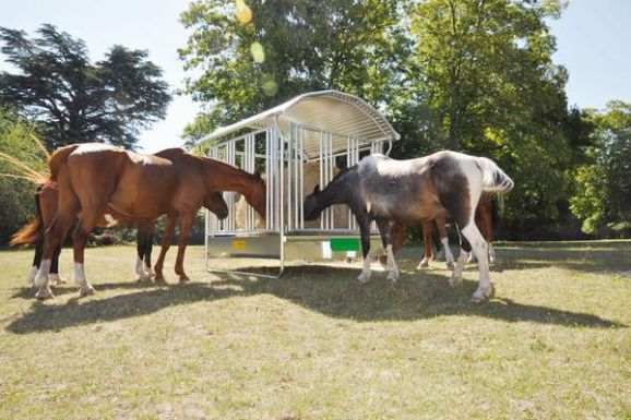 Ratelier de prairie pour chevaux