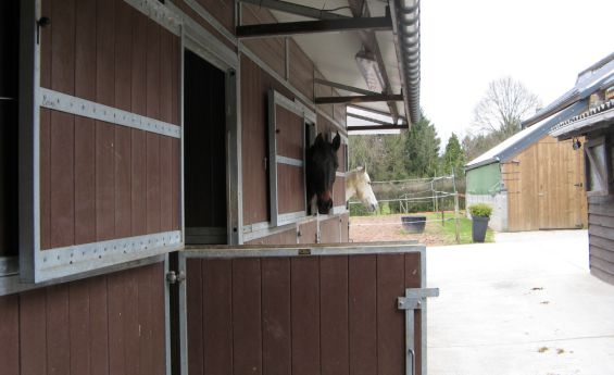 Ecurie complète "COTTAGE": auvent de 1m en façade