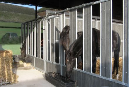 Barrière-alimentation-au sol-Stabulation-libre - modèle fermés sur toute la hauteur