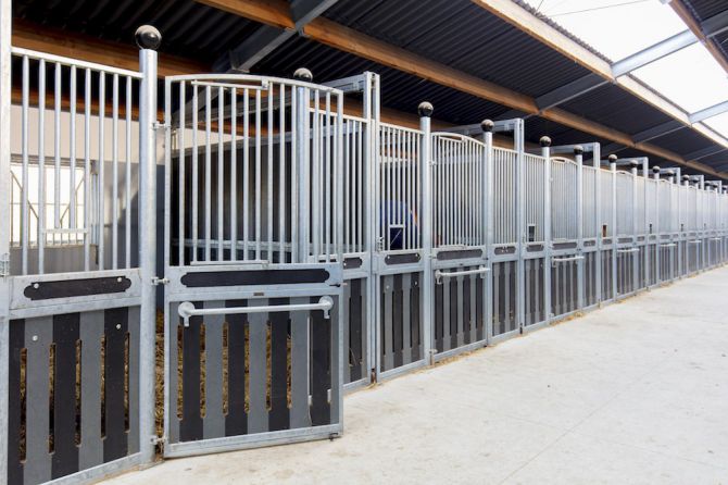 Boxes prestigieux MAXIMUS - Westland