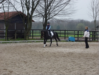Dalle Ecoraster E40 en piste de dressage